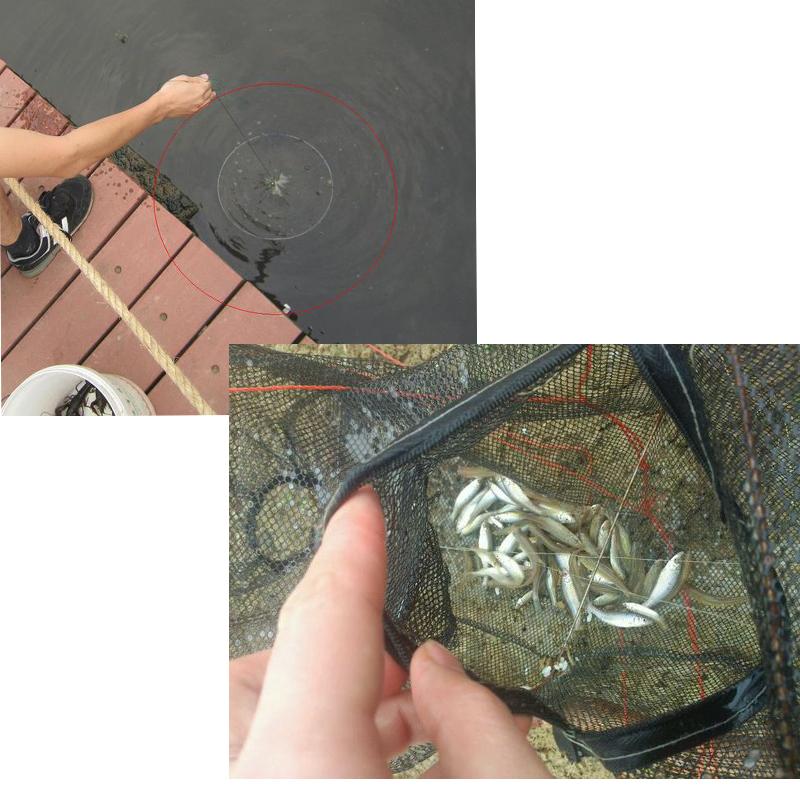8 Hole Shrimp Catcher Trap Cages Mesh Cheap Aquarium  Fishing Net